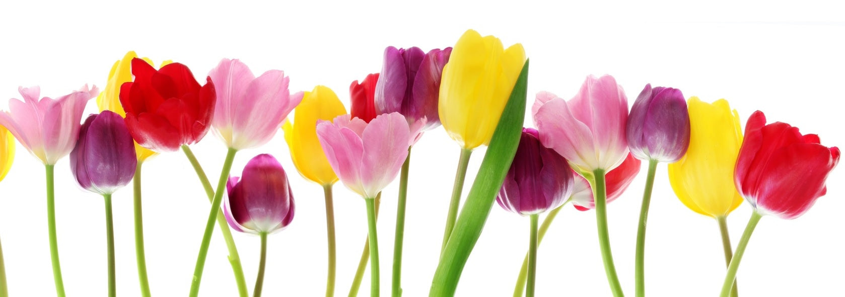 Spring Has Sprung: Top Nail Looks This Season