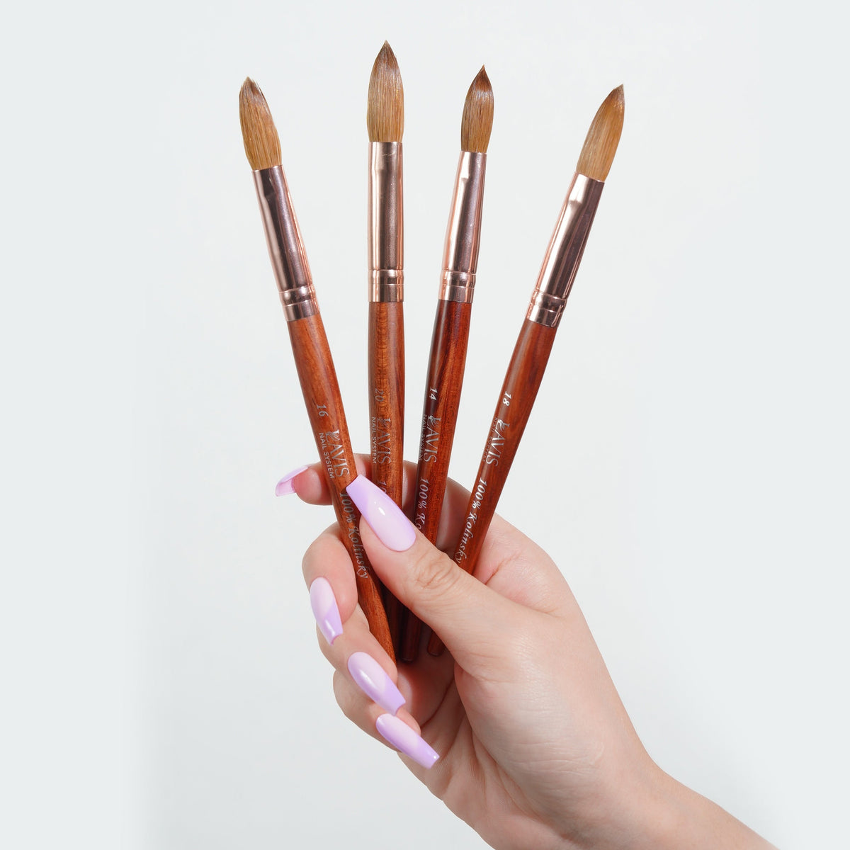  Lavis Kolinsky Acrylic Brush #16 by LAVIS NAILS sold by DTK Nail Supply