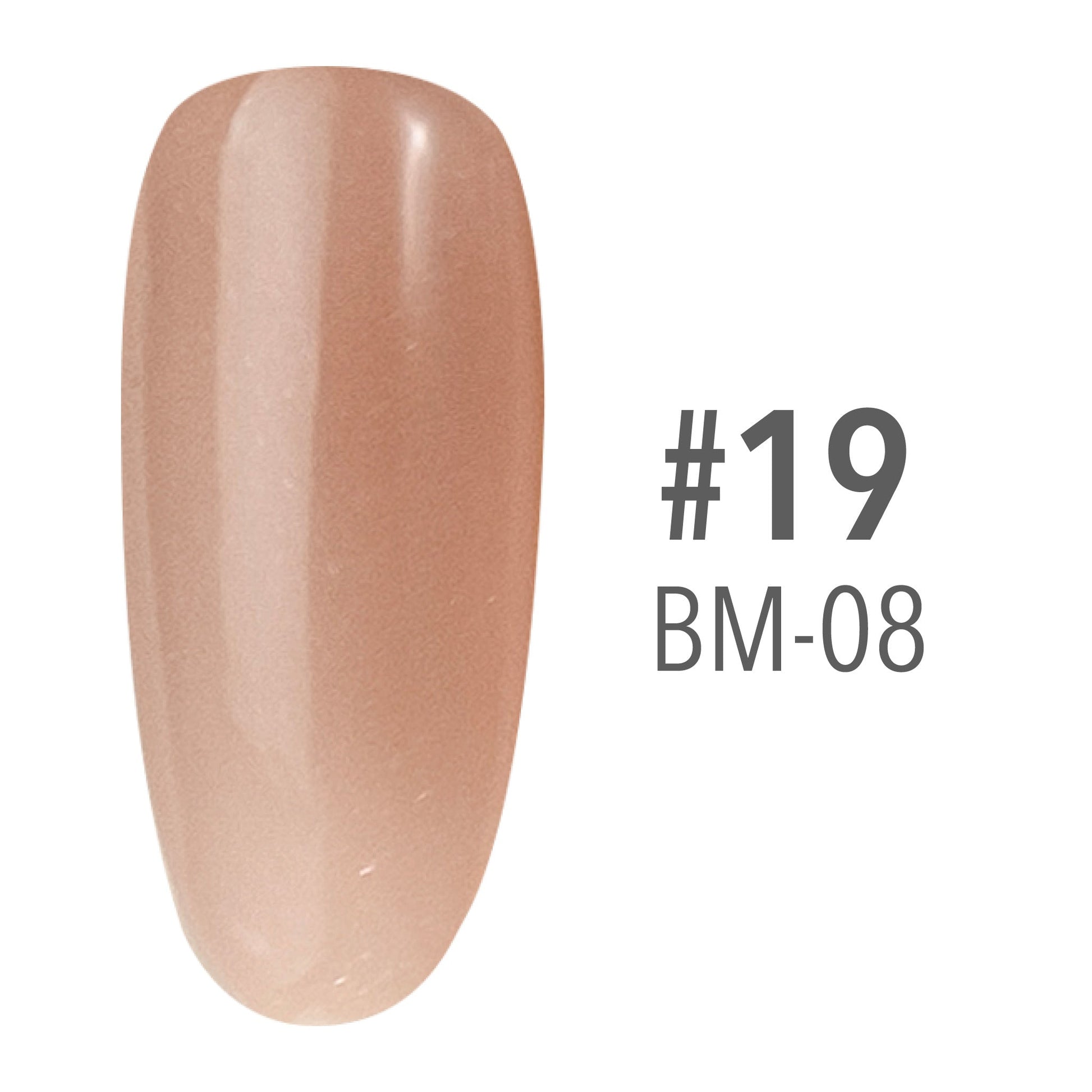 SNS Pro Pink Collection Powder - 019 BM-08