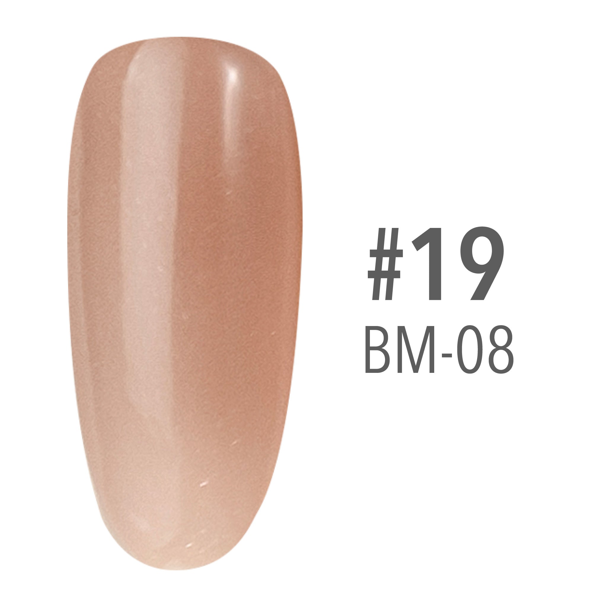 SNS Pro Pink Collection Powder - 019 BM-08