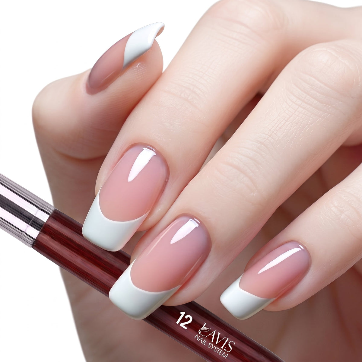 LAVIS French Brush - #12