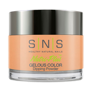 SNS Dipping Powder Nail - BP13 by SNS sold by DTK Nail Supply
