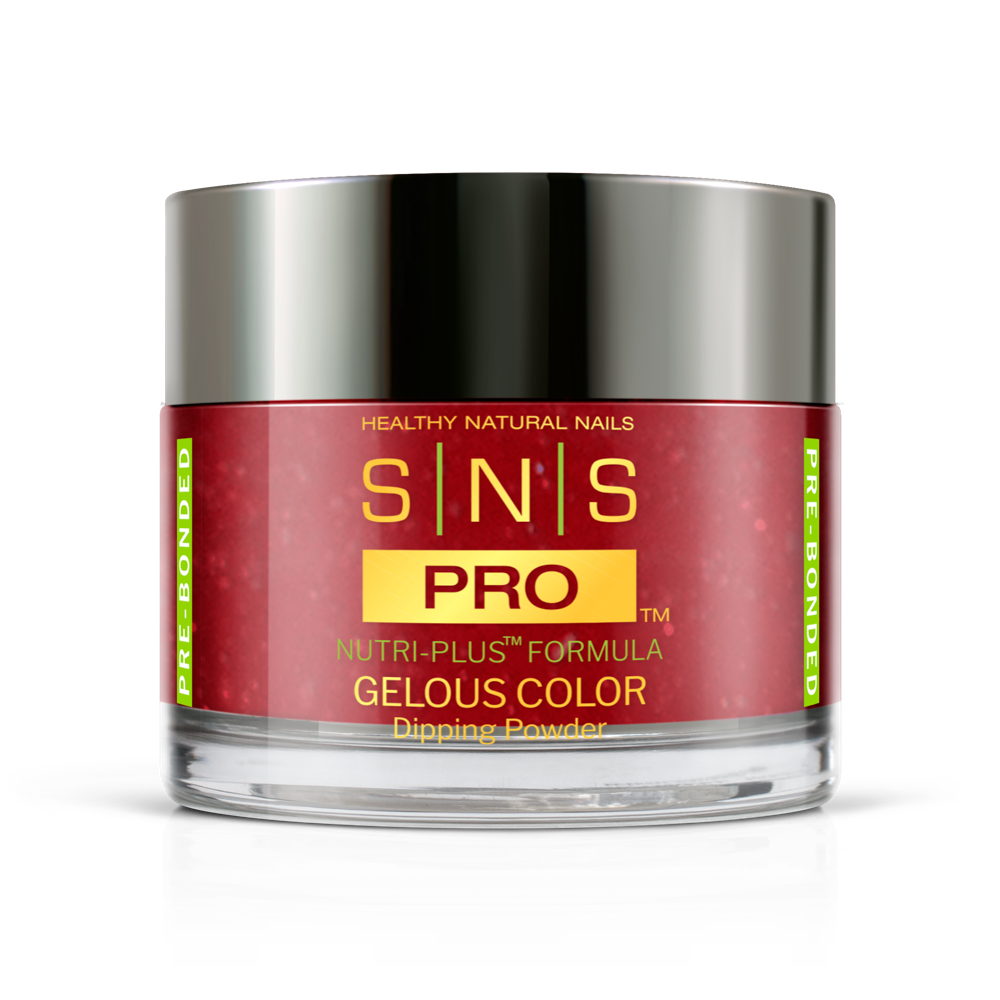 SNS Pro - Burgundy Book Collection - #046 by Signature Nail System SNS Nails USA