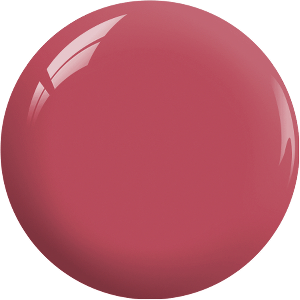SNS Pro - Burgundy Book Collection - #043 by Signature Nail System SNS Nails USA