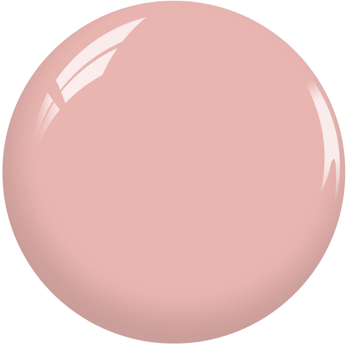 SNS Nail Dipping Powder- SL04 by Signature Nail System SNS Nails USA