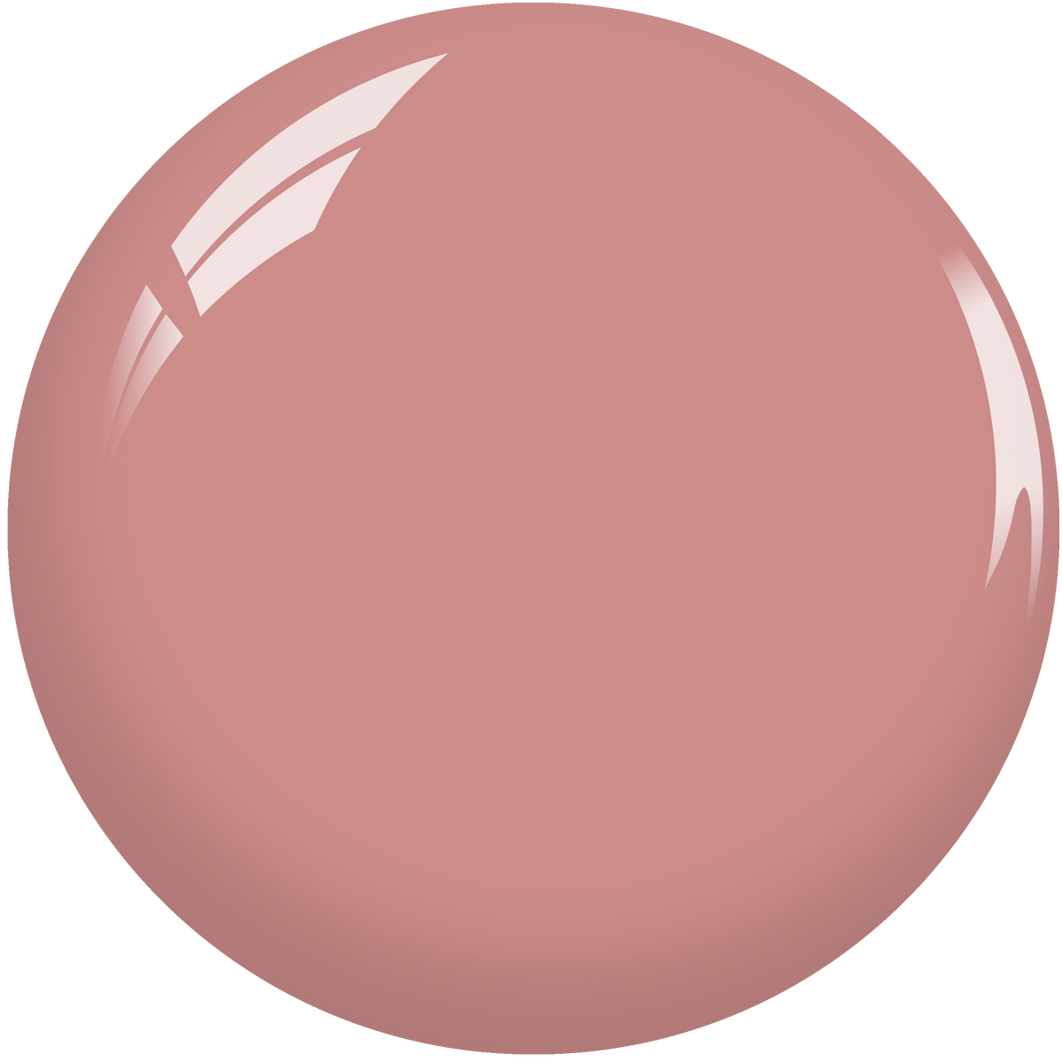 SNS Nail Dipping Powder- SL10 by Signature Nail System SNS Nails USA