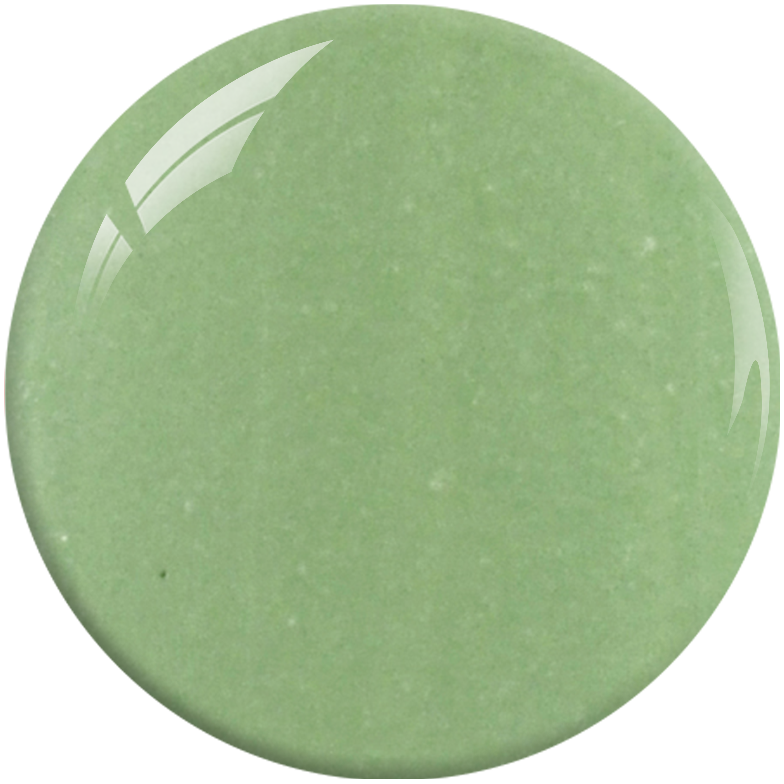 SNS Nail Dipping Powder- SG11 by Signature Nail System SNS Nails USA