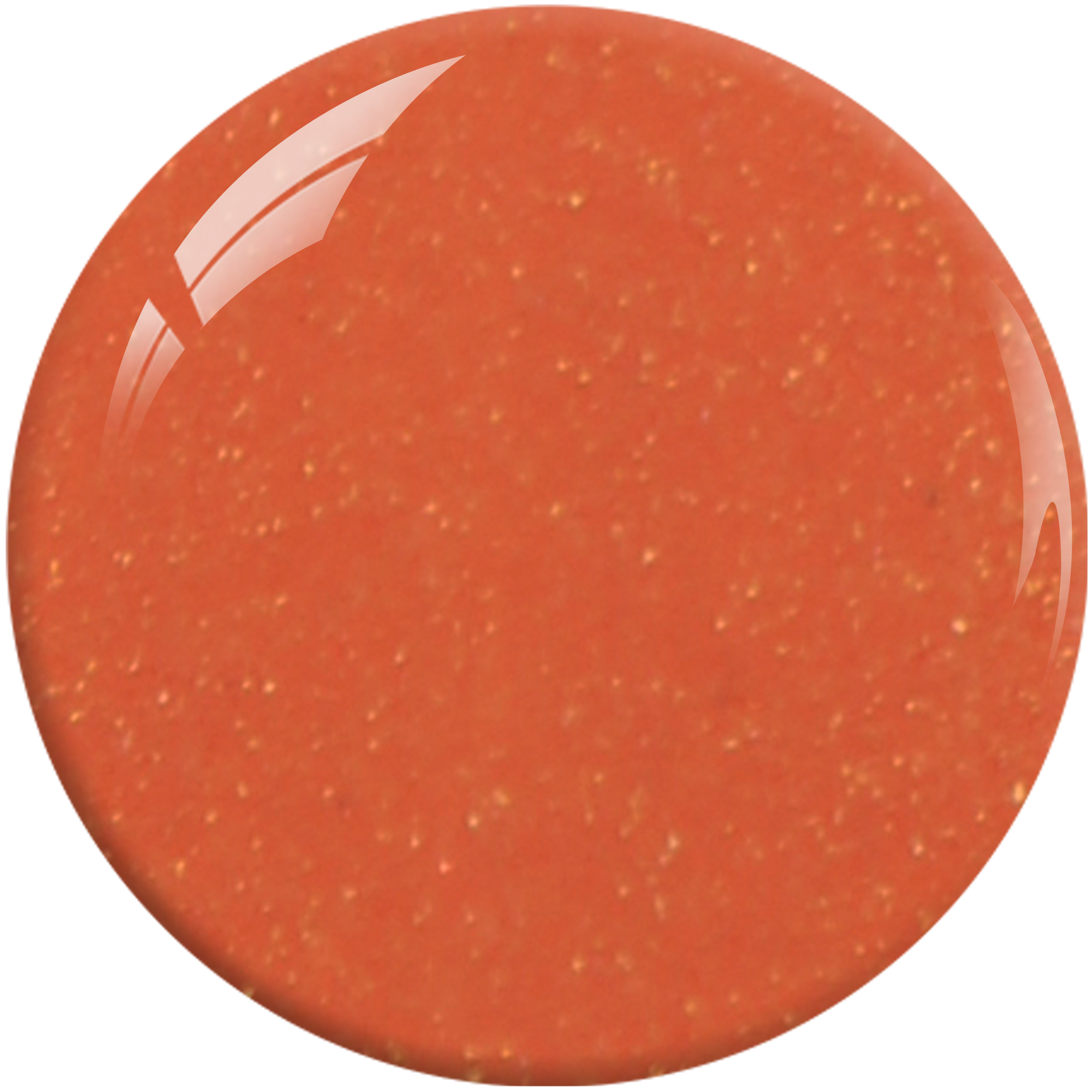 SNS Nail Dipping Powder- HH21 by Signature Nail System SNS Nails USA