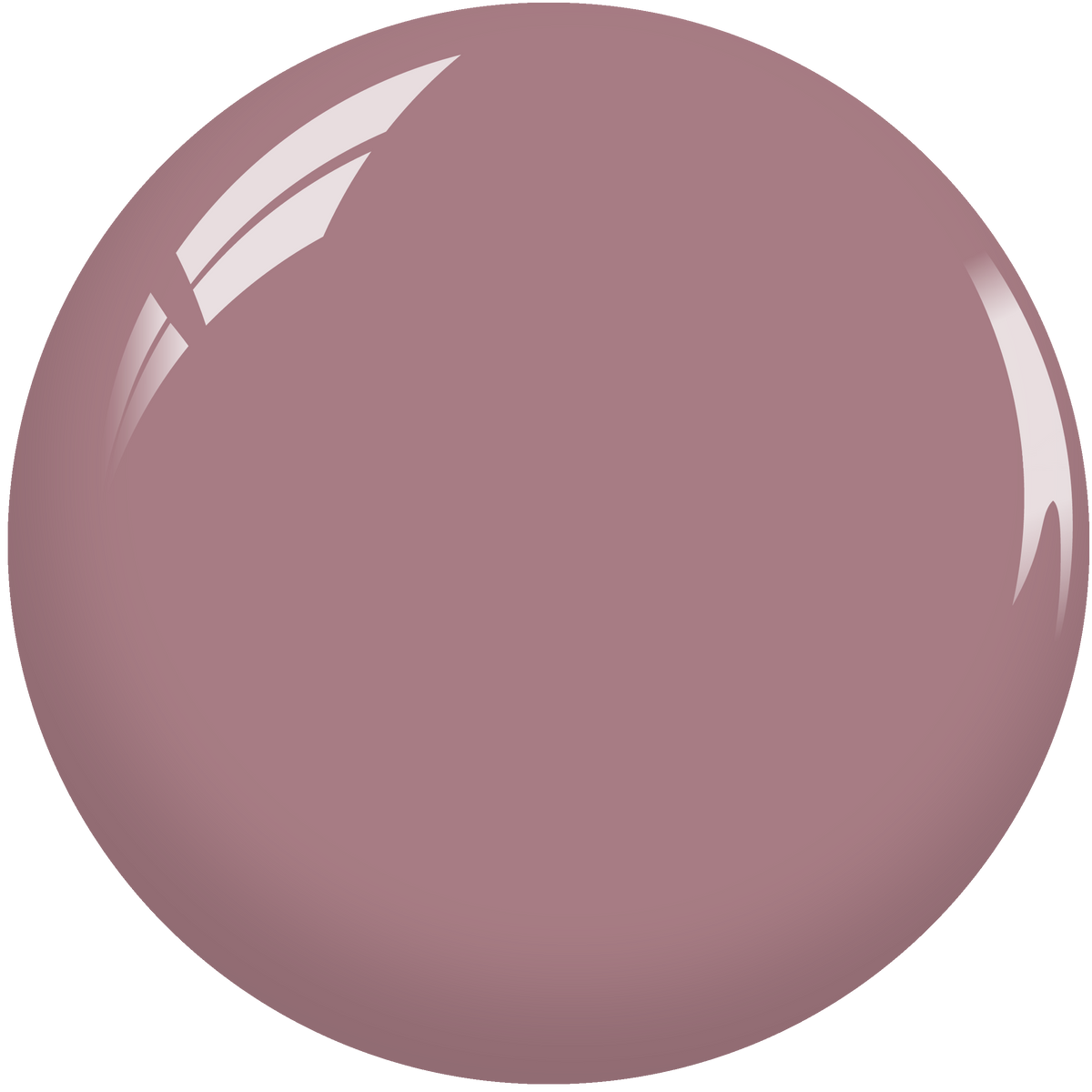 SNS Nail Dipping Powder- EE03 by Signature Nail System SNS Nails USA
