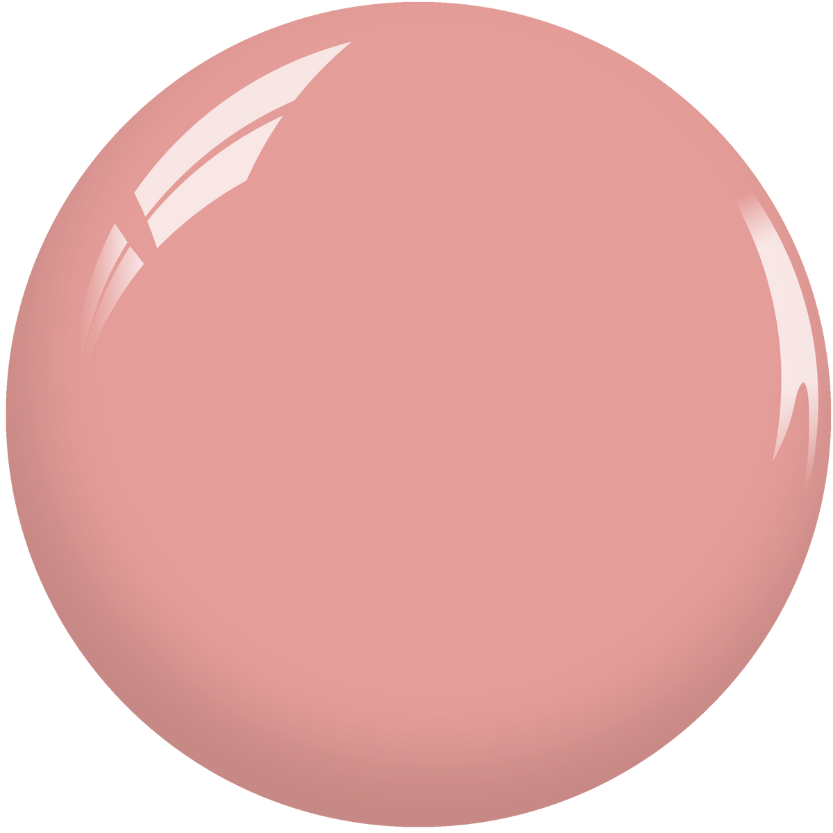 SNS Nail Dipping Powder- SL08 by Signature Nail System SNS Nails USA