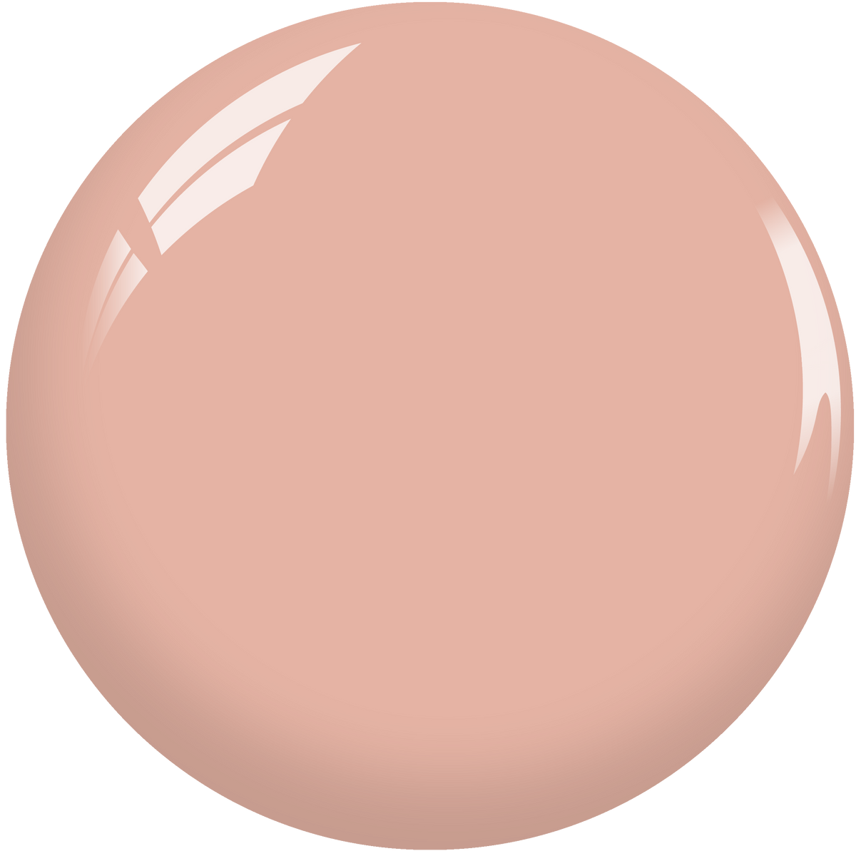 SNS Nail Dipping Powder- SL11 by Signature Nail System SNS Nails USA