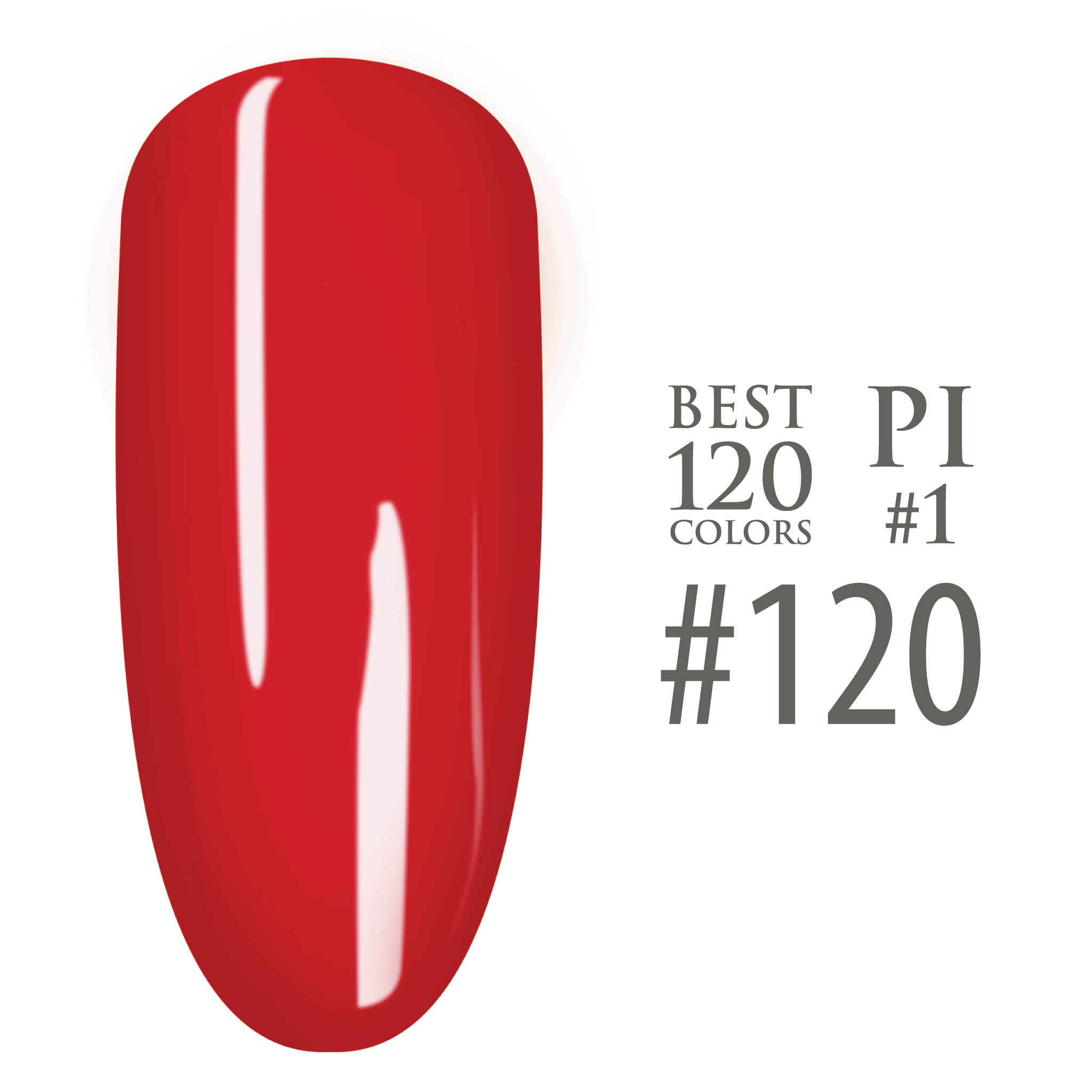 SNS Pro - Green Book Collection - #120