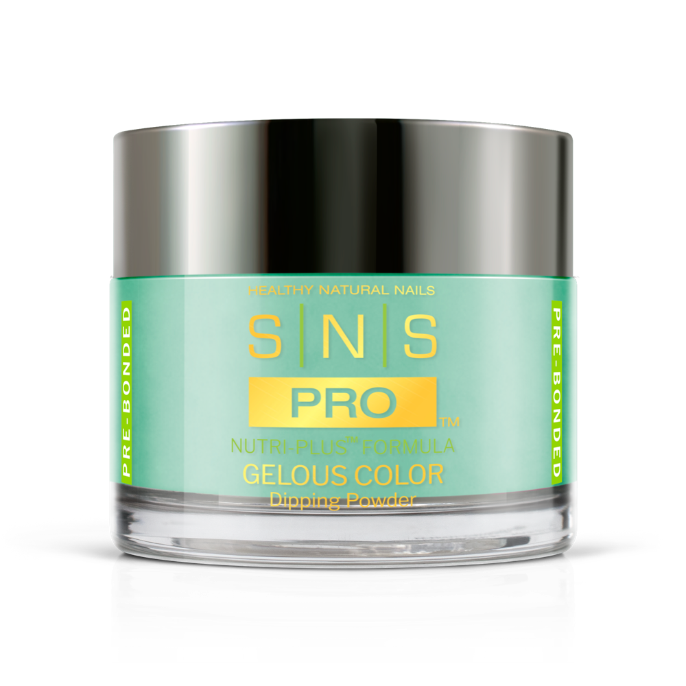 SNS Pro - Burgundy Book Collection - #108 by Signature Nail System SNS Nails USA
