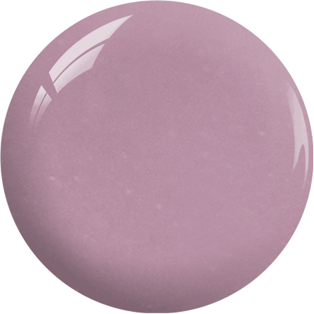 SNS Pro - Burgundy Book Collection - #037 by Signature Nail System SNS Nails USA