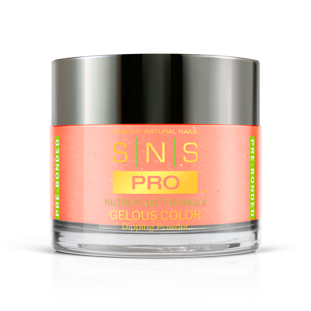 SNS Pro - Burgundy Book Collection - #017 by Signature Nail System SNS Nails USA
