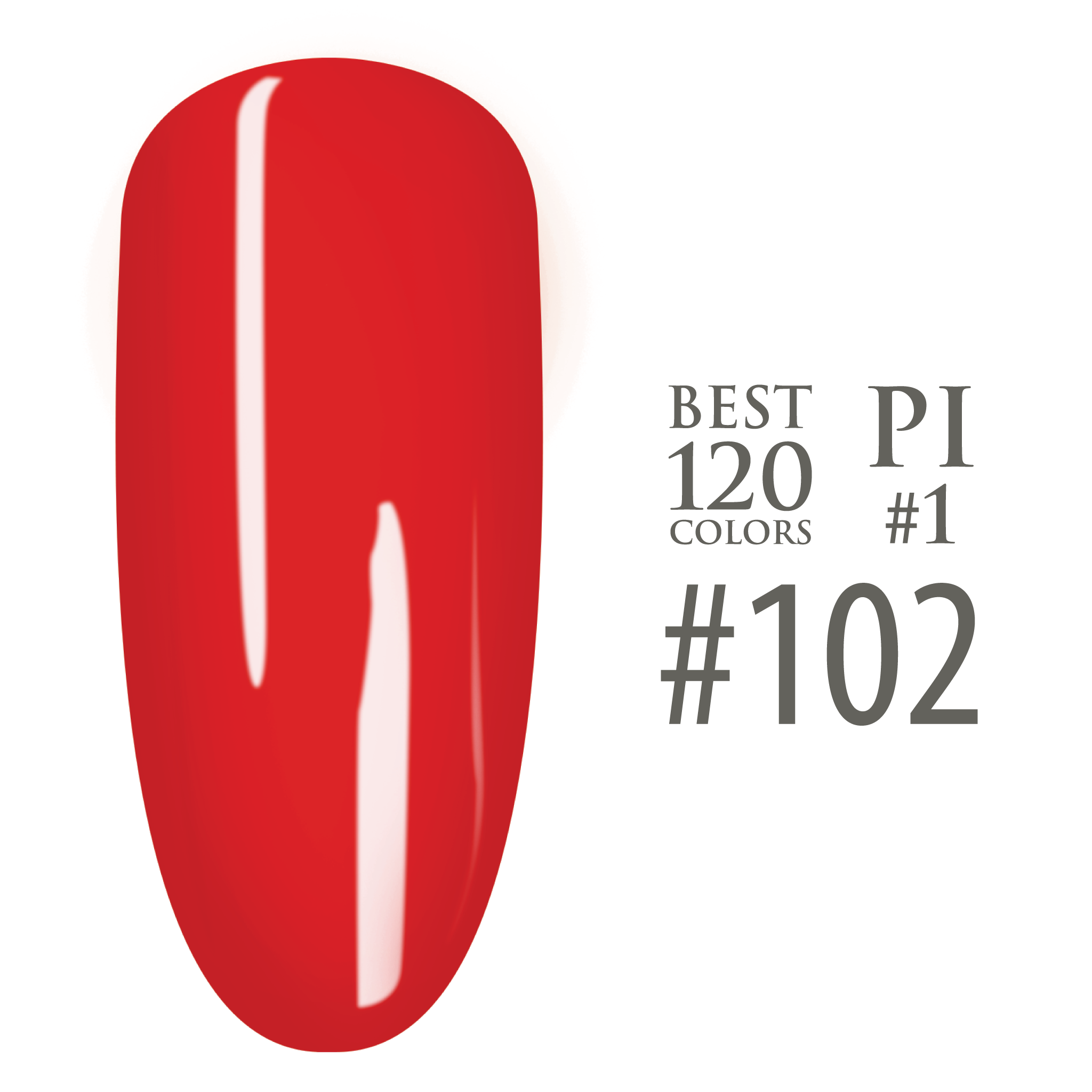 SNS Pro - Green Book Collection - #102