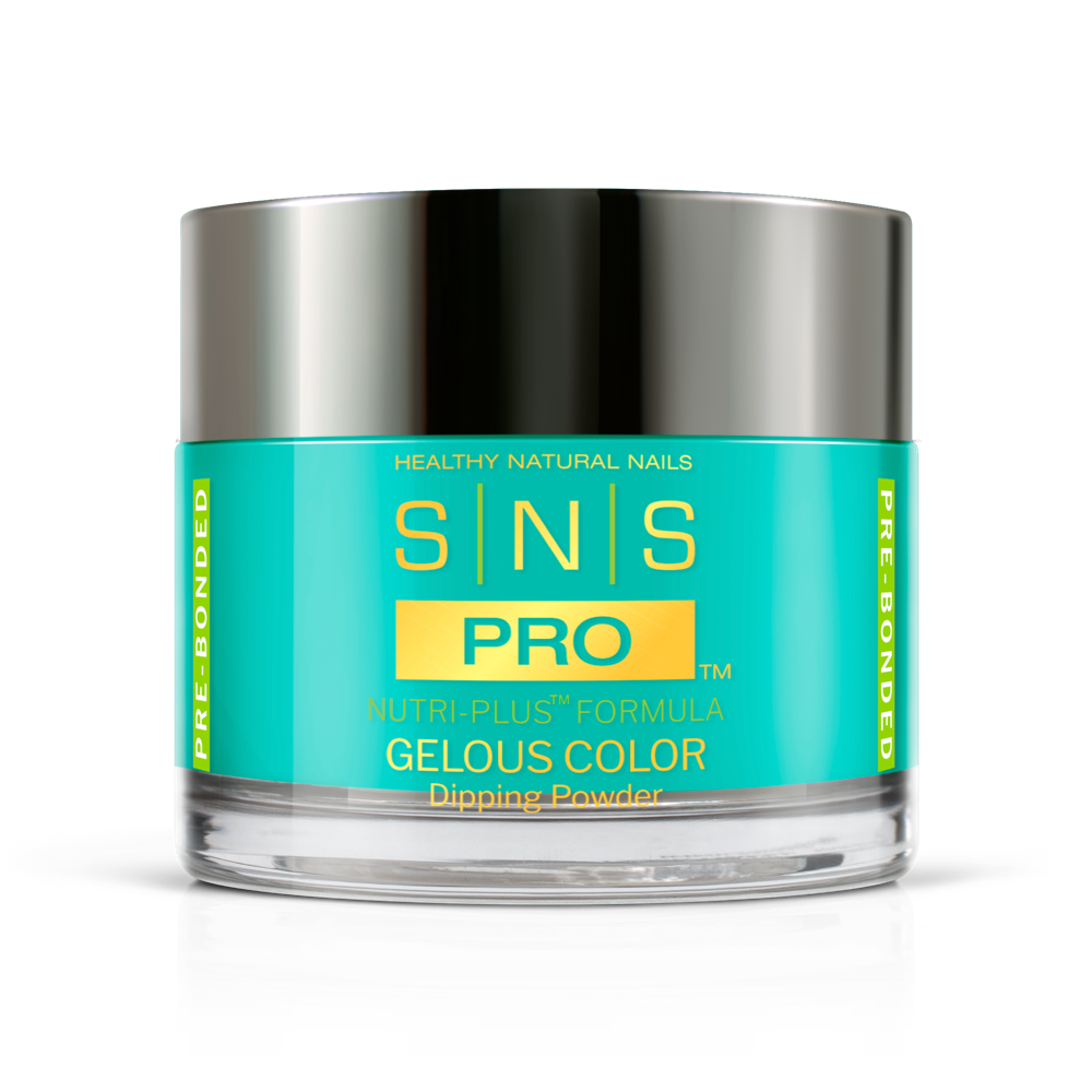 SNS Pro - Burgundy Book Collection - #101 by Signature Nail System SNS Nails USA