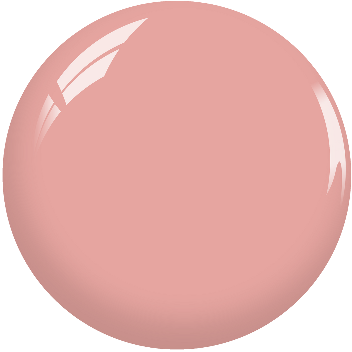 SNS Nail Dipping Powder- SL06 by Signature Nail System SNS Nails USA