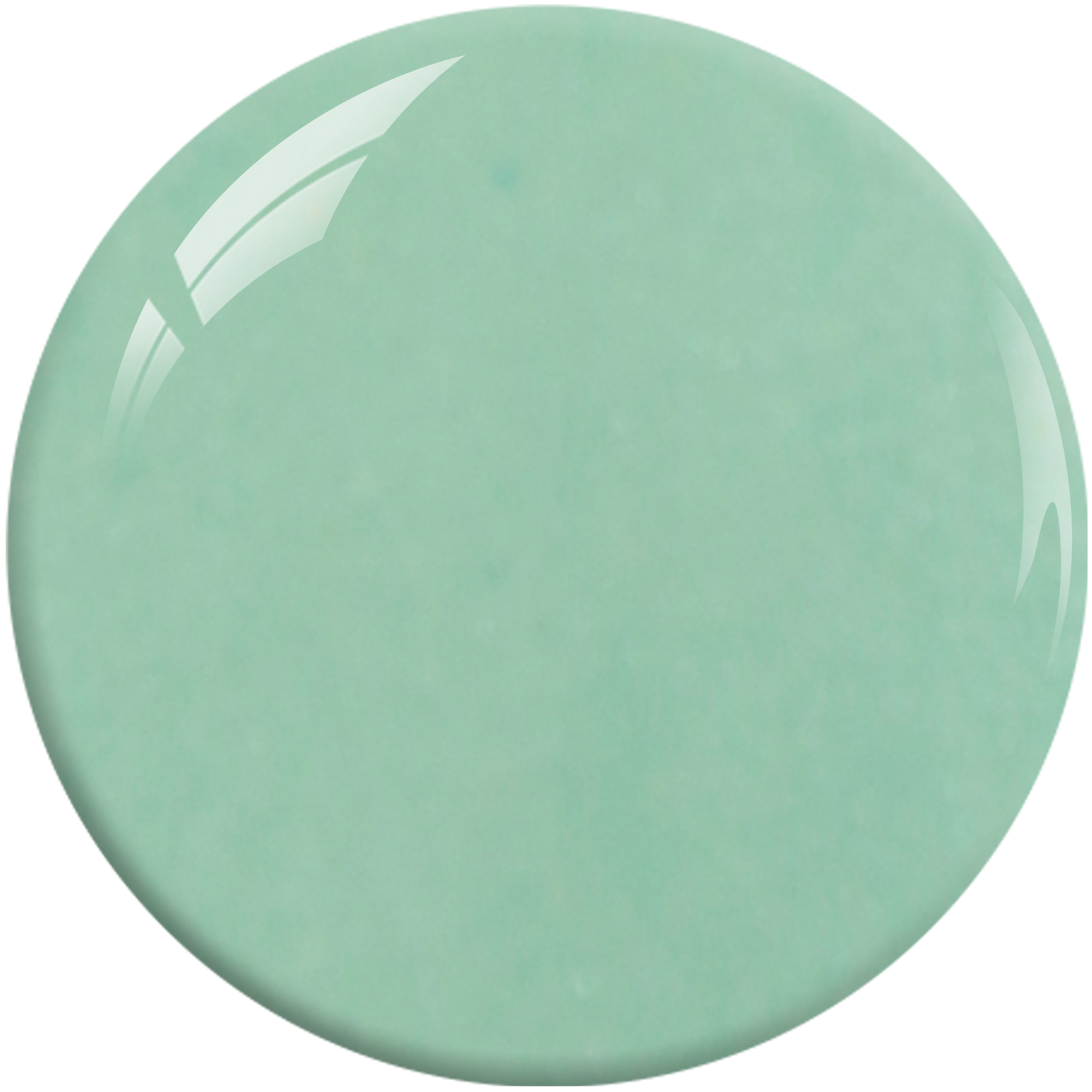 SNS Nail Dipping Powder- HH36 by Signature Nail System SNS Nails USA