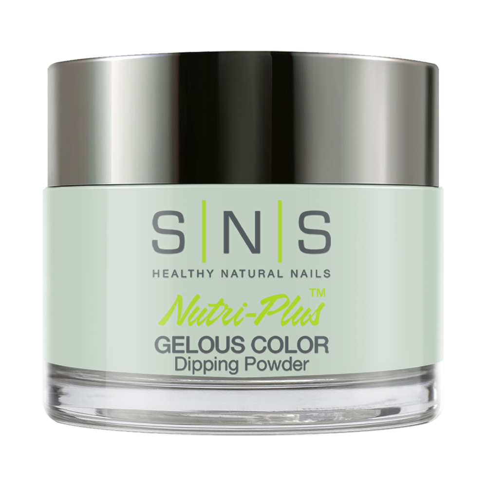 SNS Destination Wedding - DW04 dip powder jar