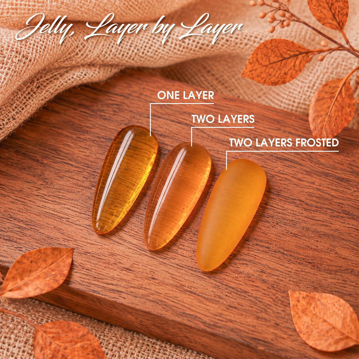 LAVIS Amber Jelly Gel Polish Set 12 Colors + FREE Sample Color Chart + FREE LAVIS Super Clear Cat Eye