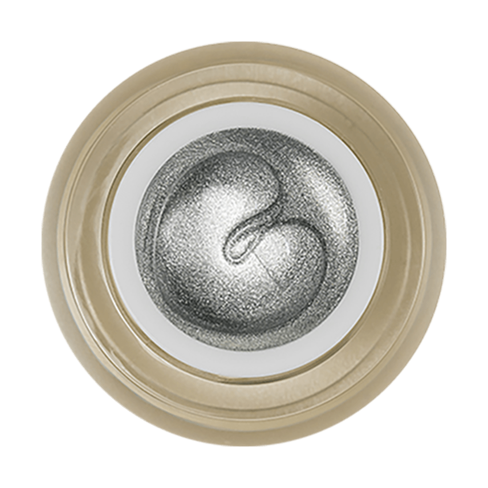 LDS Painting Gel Nail Art - 0.5oz Silver 02 - DTK Nail Supply