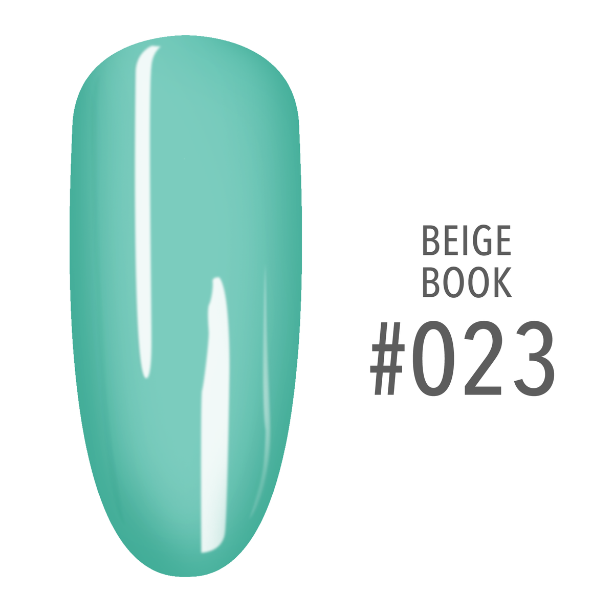 SNS Beige Book #023 Aqua swatch on a nail tip