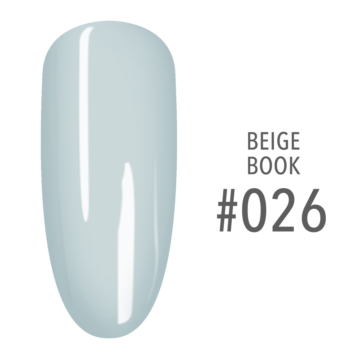 SNS Beige Book #026 Ice Blue swatch on a nail tip