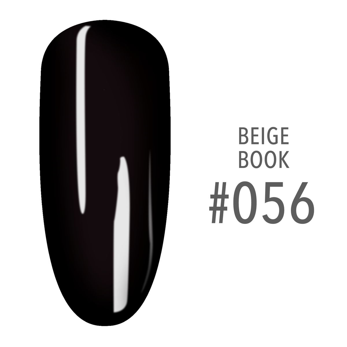 SNS Beige Book #056 Black swatch on a nail tip