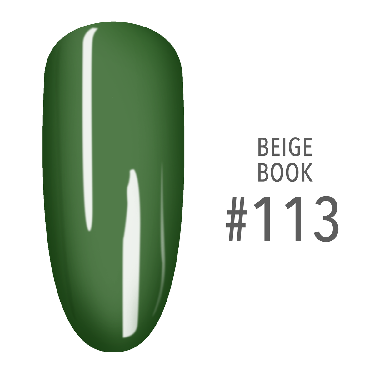 SNS Pro - Beige Book Collection - #113 by Signature Nail System SNS Nails USA