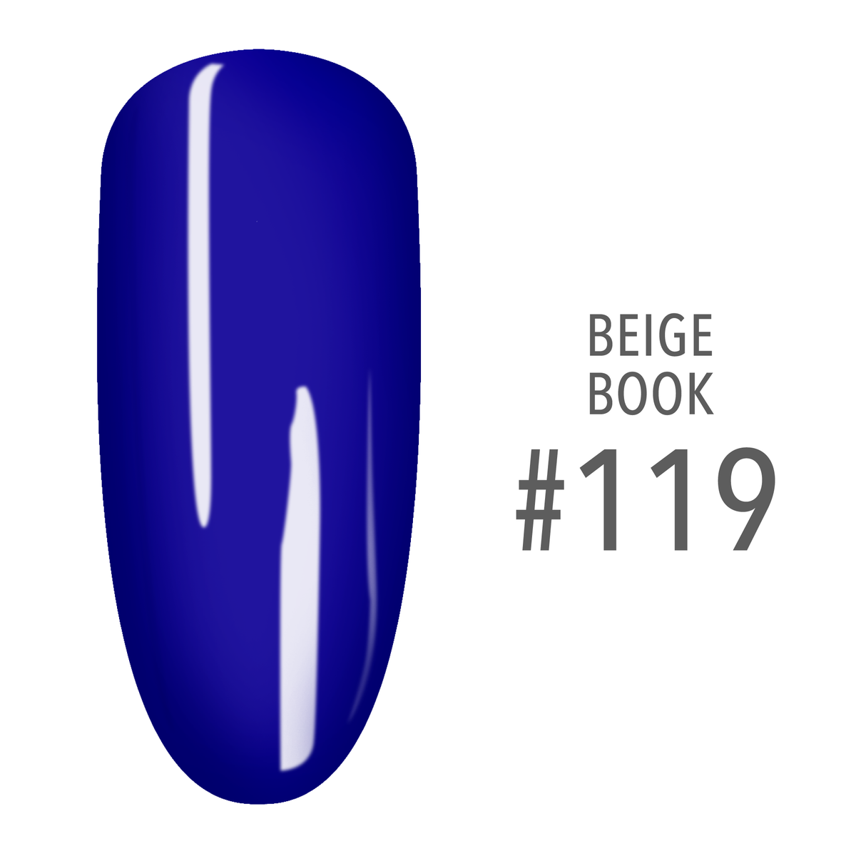 SNS Beige Book #119 Blue swatch on a nail tip