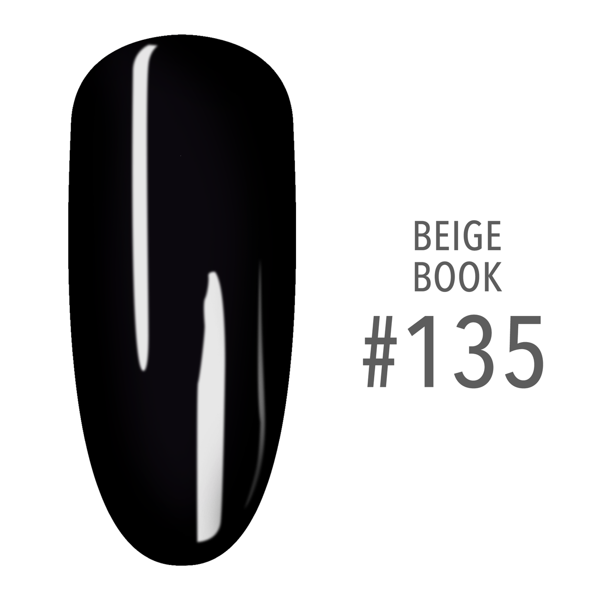 SNS Beige Book #135 Black swatch on a nail tip