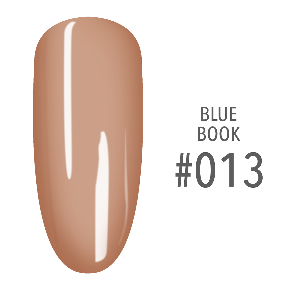 SNS Blue Book #013 Nude Beige swatch on a nail tip