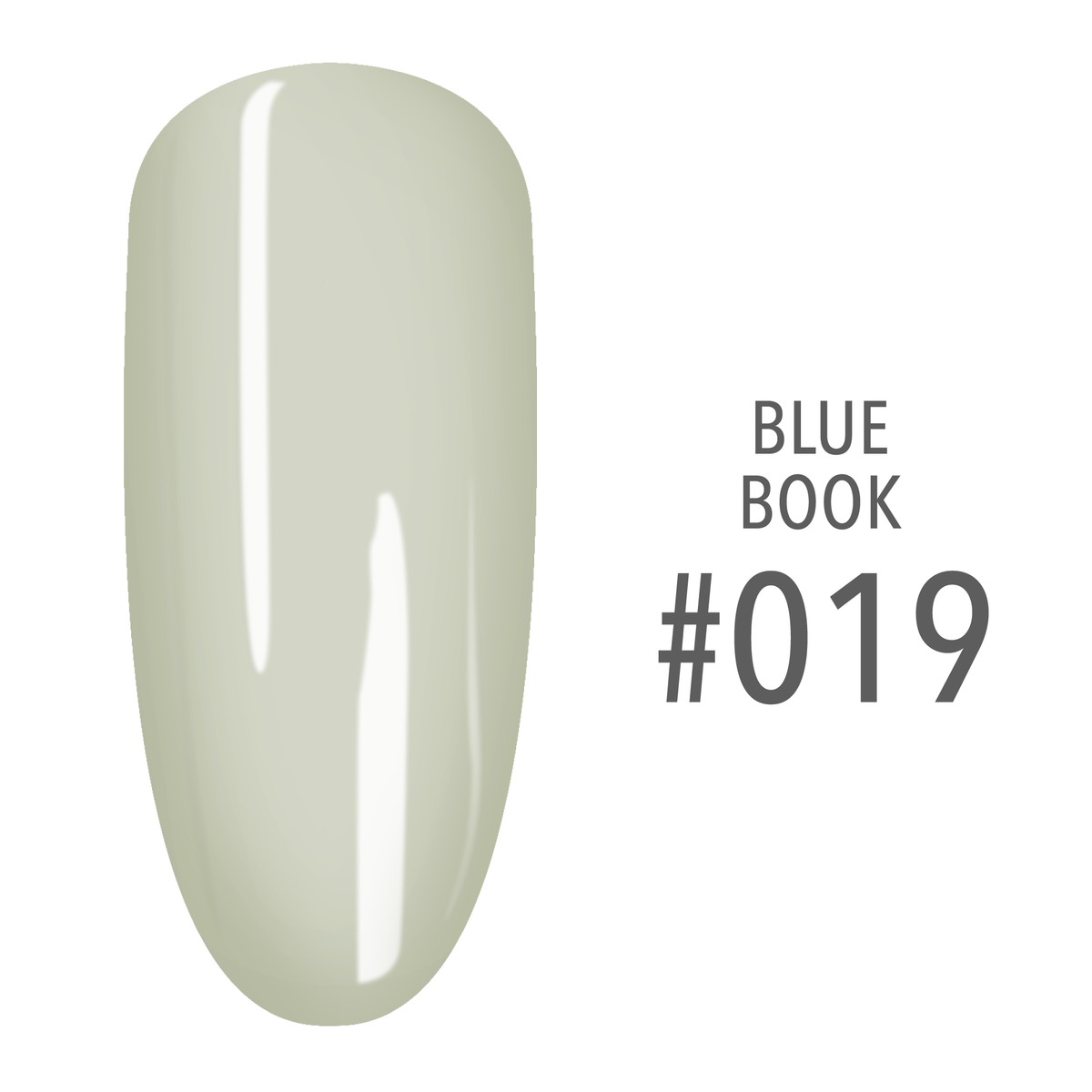SNS Blue Book #019 Pale Sage swatch on a nail tip