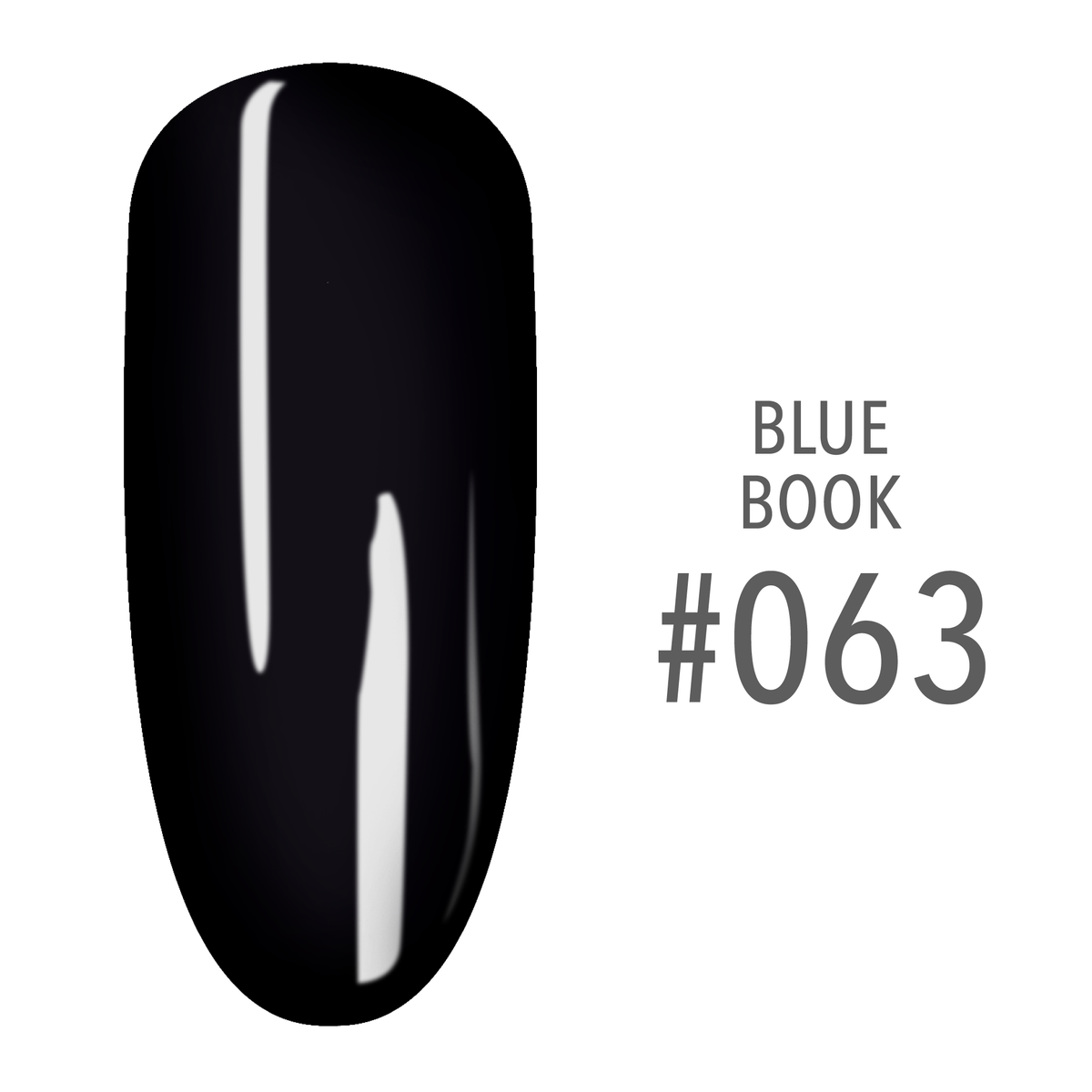 SNS Blue Book #063 Black swatch on a nail tip