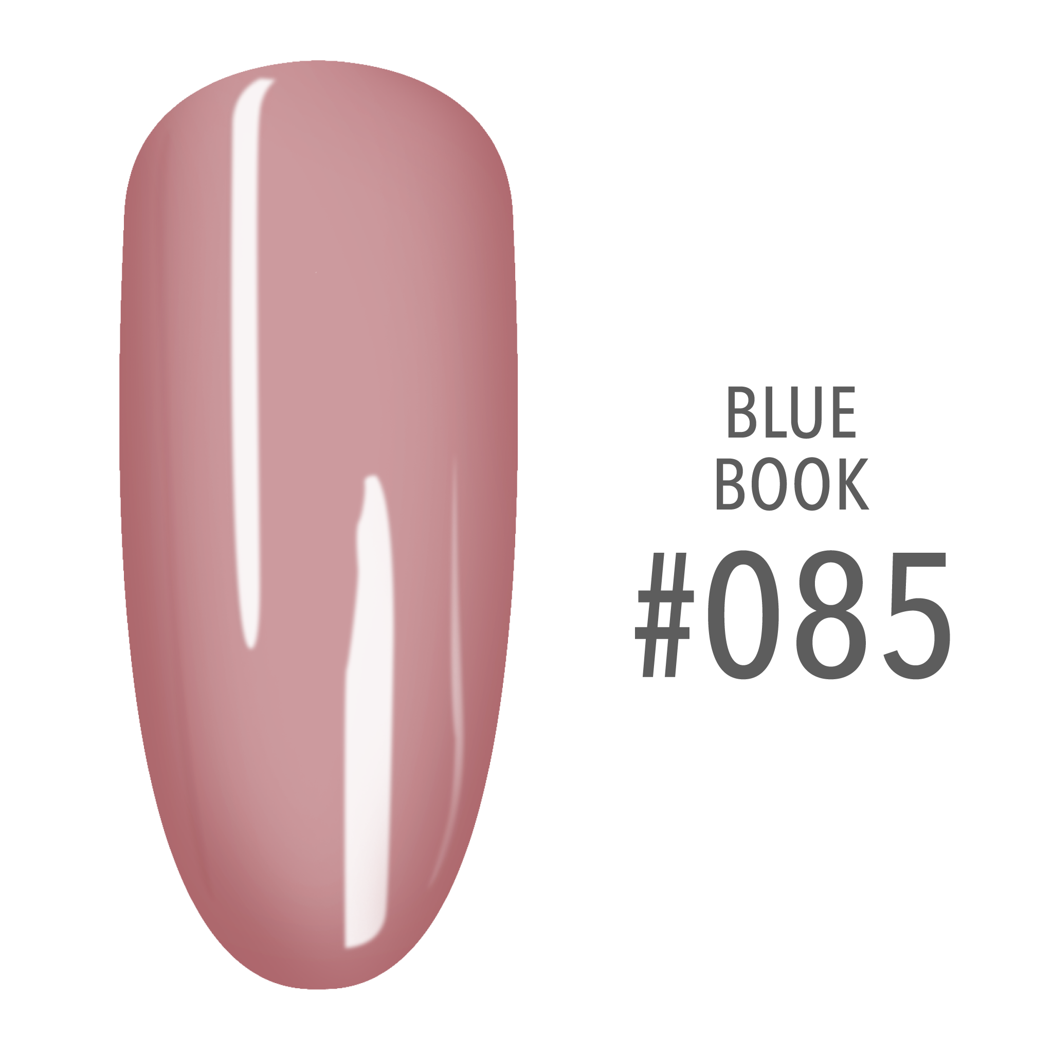 SNS Pro - Blue Book Collection - #085 by Signature Nail System SNS Nails USA
