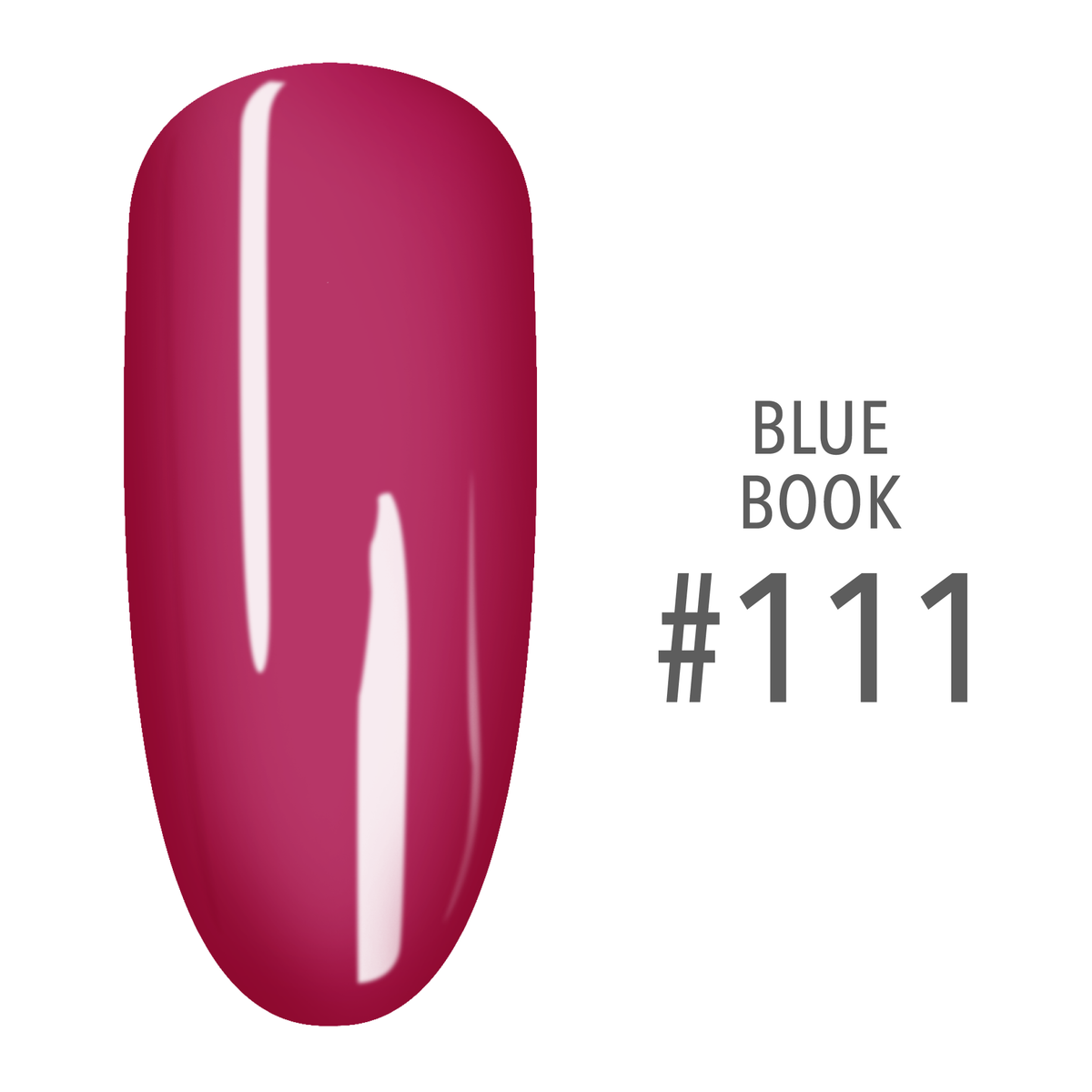 SNS Pro - Blue Book Collection - #111 by Signature Nail System SNS Nails USA