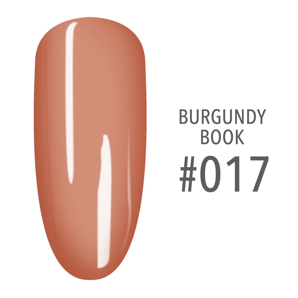 SNS Burgundy Book #017 Coral swatch on a nail tip