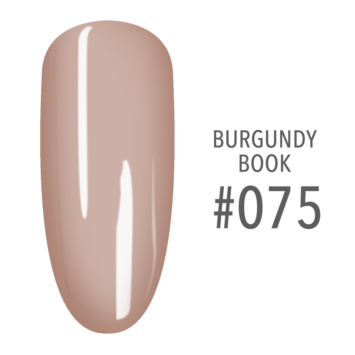 SNS Burgundy Book #075 Light Nude swatch on a nail tip