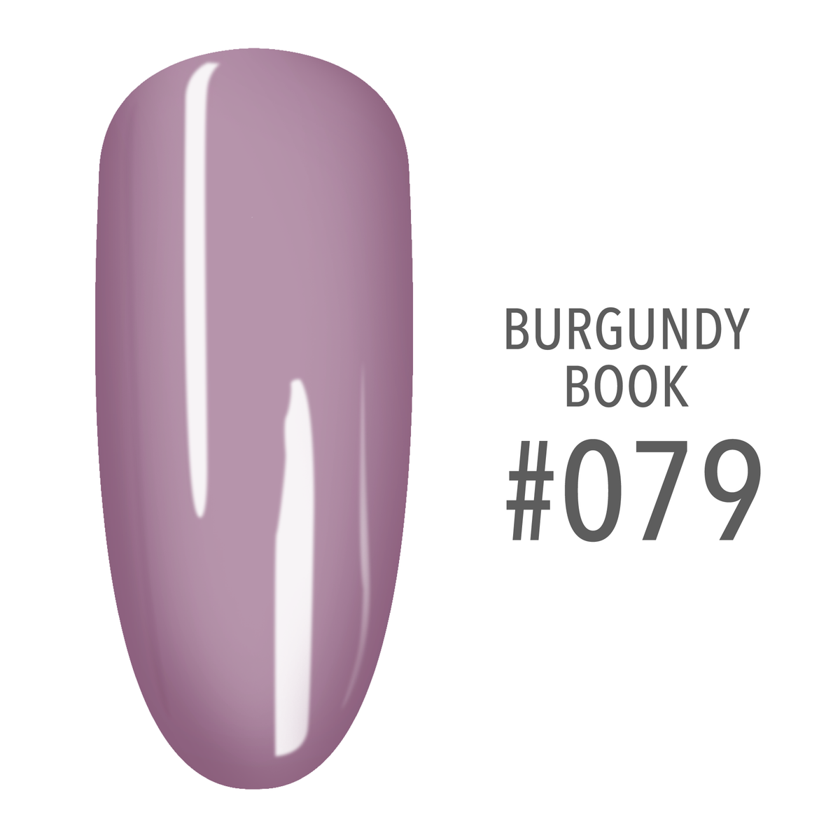 SNS Burgundy Book #079 Mauve swatch on a nail tip