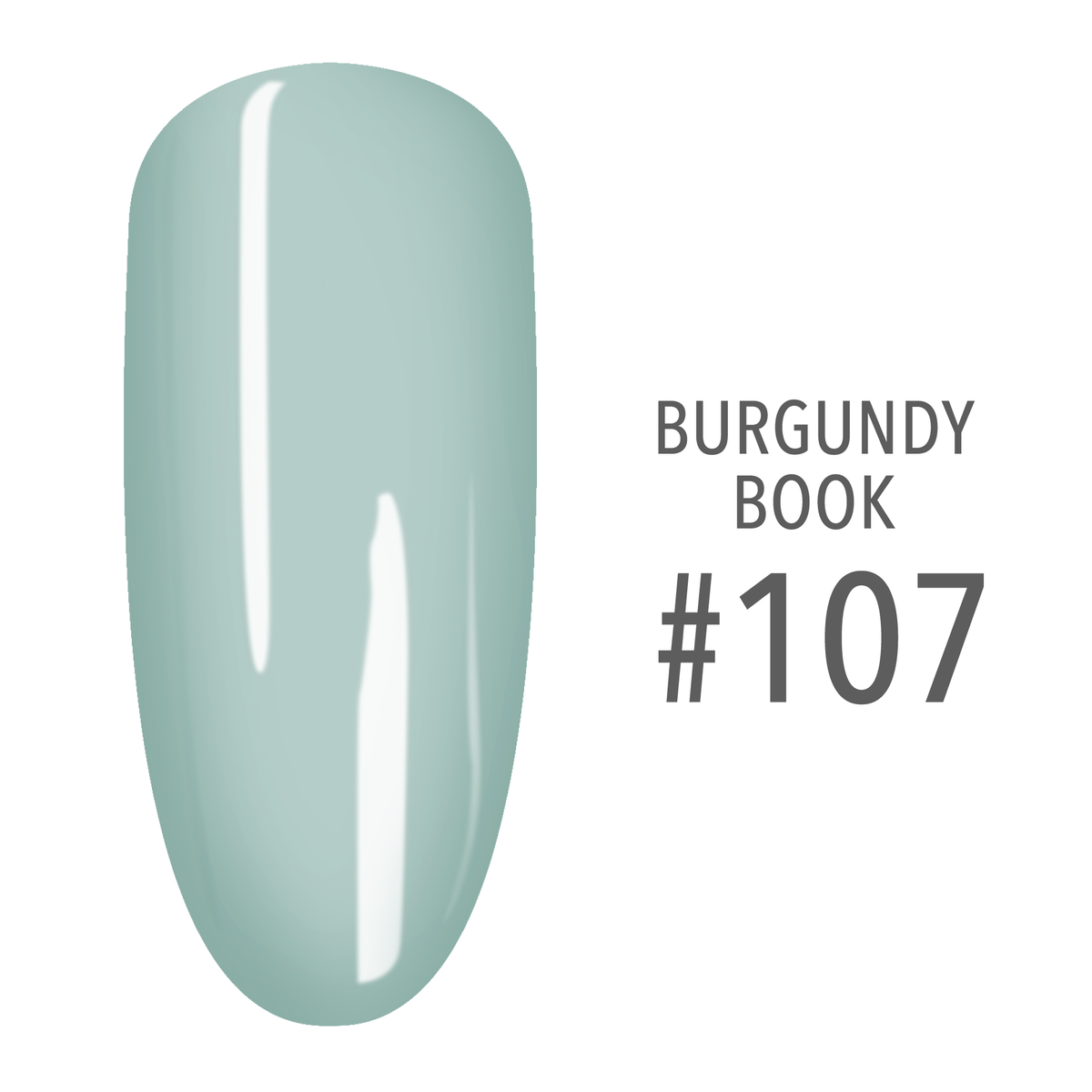 SNS Burgundy Book #107 Ice Blue swatch on a nail tip