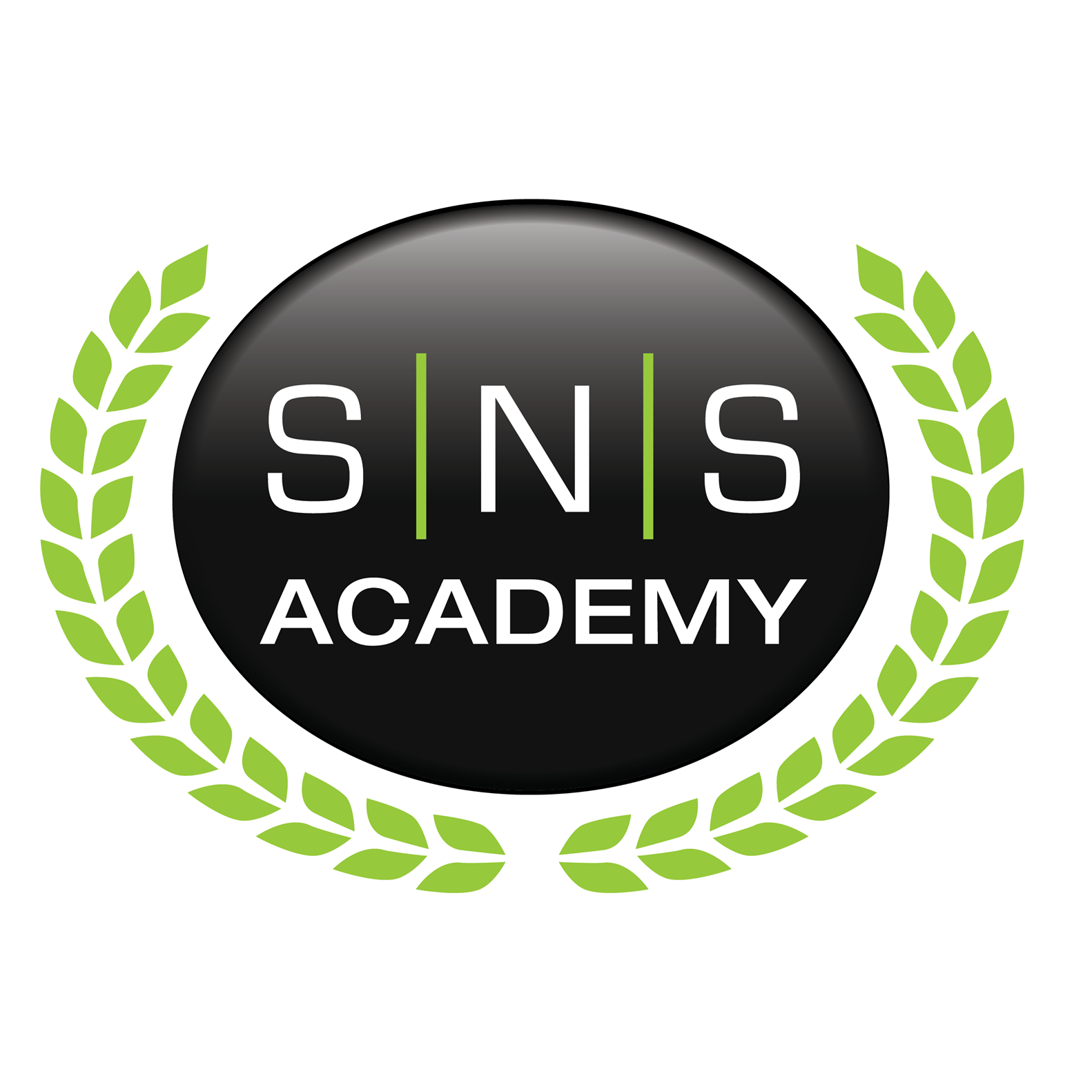 Join Our Intensive Nail Training at SNS Academy!